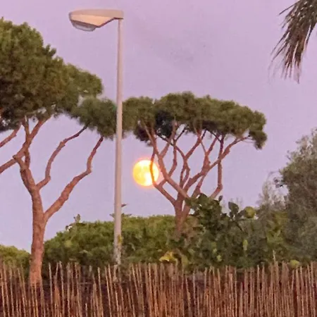 Chiclana Casa Maria Tatil Evi *